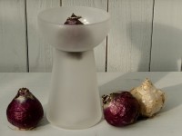Hyazinthenglas mattweiß Hyazinthenglas mattweiß