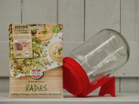 Keimsprossen Radies Keimsprossen Radies