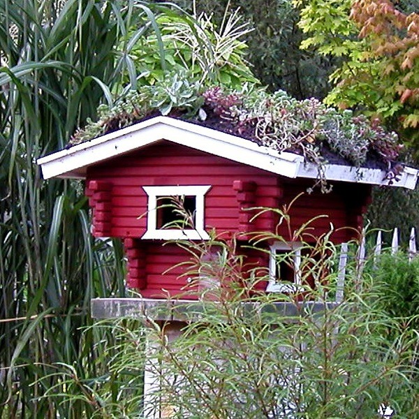 Vogelhaus mit Dachbegrünung, rot