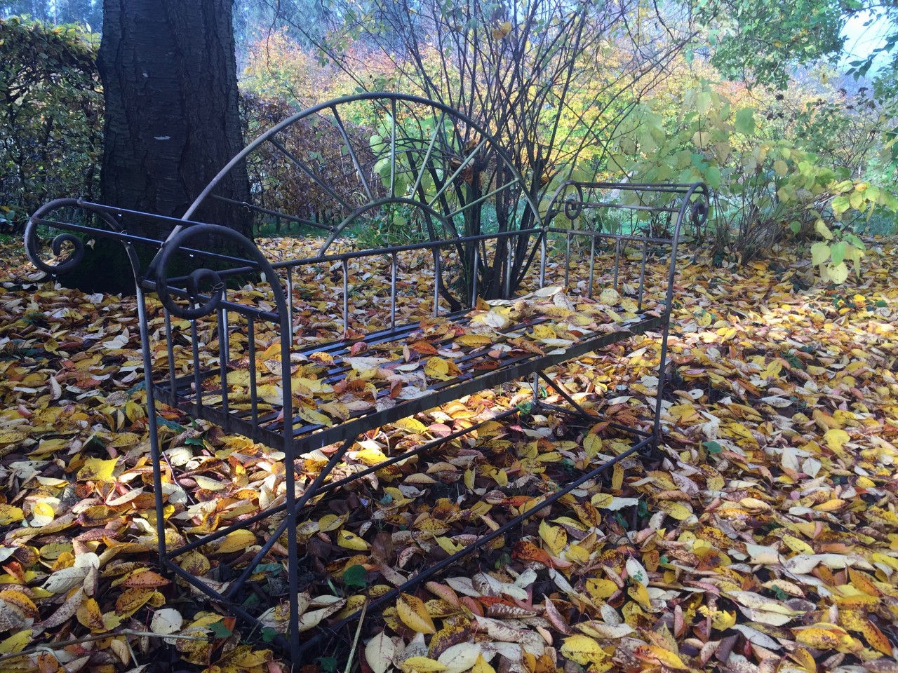 Der Garten im Herbst | Herbst | Das Gartenjahr | Shop Staudengärten