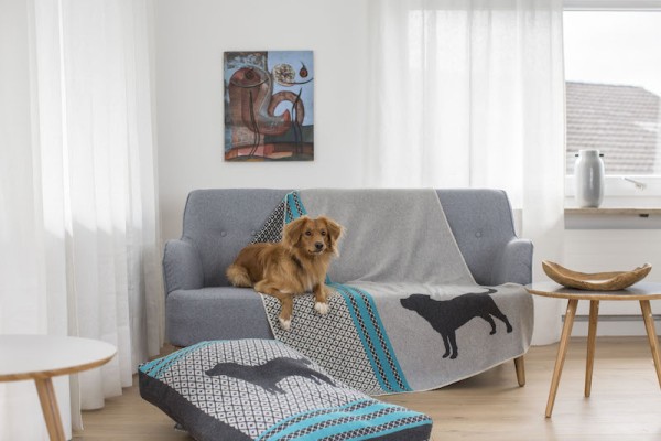 Hundekissen