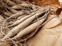 Vorschau: dahlie-knolleaymcee7CTij0 Vorschau: dahlie-knolleaymcee7CTij0m