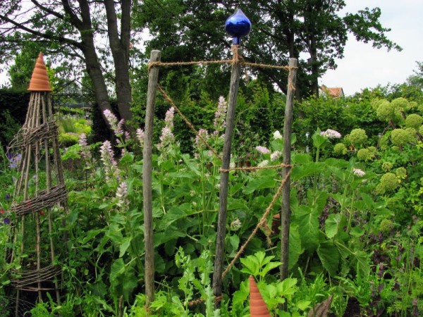 Muskatellersalbei - Salvia sclarea